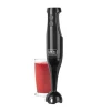 IMMERSION BLENDER