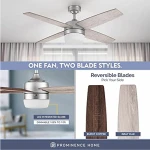 Ceiling fan