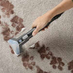 CARPET CLEANER