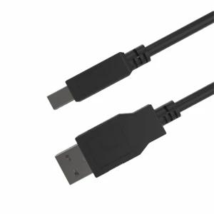 Xtech 10 ft usb