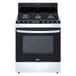 LG GASRANGE 6 BURNER